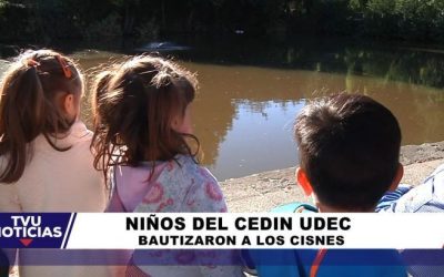 Nuestros niños bautizaron a los nuevos Cisnes de la UdeC