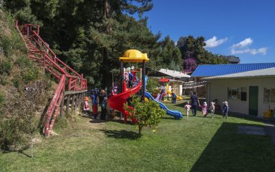 Lorem ipsum dolor sit amet, consectetur adipiscing.